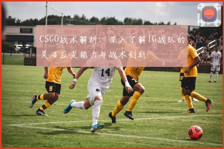 CSGO战术解析：深入了解IG战队的灵活应变能力与战术创新