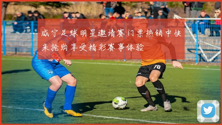 咸宁足球明星邀请赛门票热销中快来抢购享受精彩赛事体验
