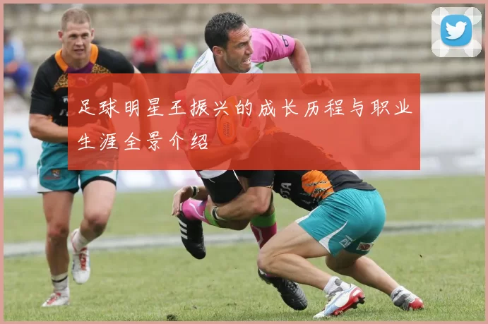 足球明星王振兴的成长历程与职业生涯全景介绍