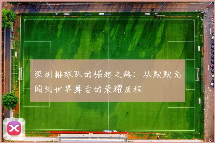 深圳排球队的崛起之路：从默默无闻到世界舞台的荣耀历程