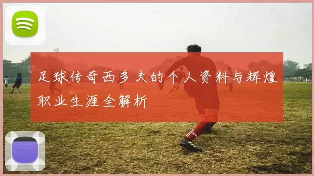 足球传奇西多夫的个人资料与辉煌职业生涯全解析