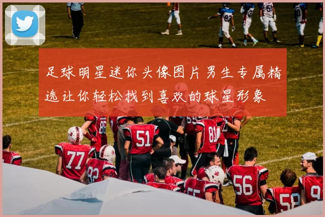 足球明星迷你头像图片男生专属精选让你轻松找到喜欢的球星形象