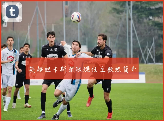 英超纽卡斯尔联现任主教练简介